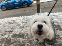 Обледенение судов и сильный снег: в Краснодар 11 марта пришла зима