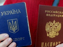 На Кубань прибыло более 40 тысяч украинских беженцев