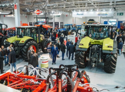 Кубанские кабачки могут не увидеть на выставке краснодарцев в масках