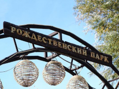 Администрация города через суд добилась запрета на строительство многоэтажки рядом с парком
