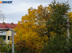 Краснодар столкнётся с массовыми отключениями электричества в начале недели