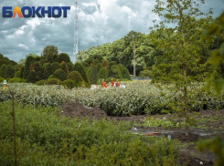 «Парк Облаков» Сергея Галицкого: что известно о новой локации в Краснодаре 