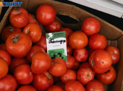 «Золотые» помидоры в Сочи: сколько тратят на овощи в разных городах Кубани 