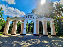 Чистяковская, она же Пионерская, она же снова Чистяковская: вехи вековой истории знаменитой рощи Краснодара