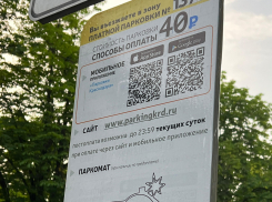 «Всё настроено на штрафы»: краснодарка о работе городских парковок