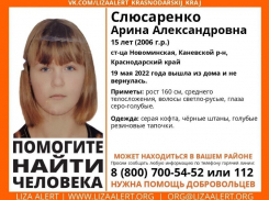 В Краснодарском крае бесследно исчезла 15-летняя школьница