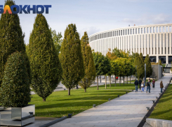 Краснодарские знаменитости в деле: Галицкий дарит спорткомплекс, у Нетребко новый роман, а Сафонов сходил в баню 