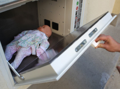 Сенатор Мизулина внесла в Госдуму закон о запрете бэби-боксов