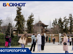 Десятки краснодарцев пришли на открытие Японского сада в парке Галицкого