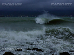 Из-за ураганного ветра на Керченской переправе скопилось более тысячи машин