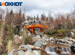 Главное в Краснодаре: на водохранилище поломка, мост провалился, ТЦ продают, на Крым хотят напасть, а в Японский сад идут люди