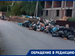 «Помои стекаются в море»: курортный поселок в Краснодарском крае утопает в мусоре