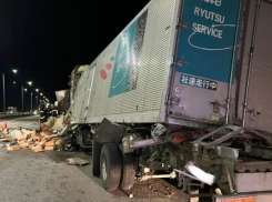 Краснодарский дальнобойщик погиб на трассе в Воронежской области