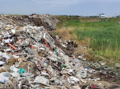 В Краснодаре могут возбудить уголовное дело из-за незаконной свалки