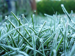  На Кубани объявили экстренное предупреждение по заморозкам 