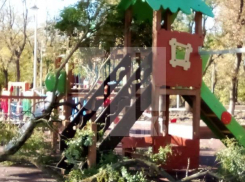 Ребенок получил ушибы и перелом ключицы из-за падения ветки в Краснодарском крае 
