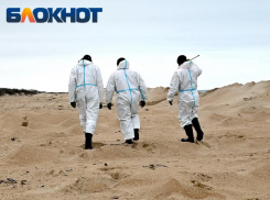 Фейк о вывозе чистого песка с побережья Анапы массово распространили в социальных сетях 