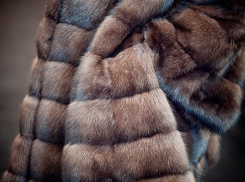 В Новороссийске мужчина похитил женскую шубу из больницы