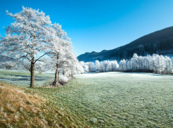 На Кубани ожидаются первые заморозки