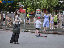Краснодарцев на выходные ждут концерты в парках, Рерих и триллер в тайге