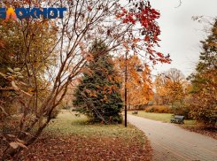 Главное в Краснодаре сегодня: военкомы рассказывают о призыве, родители делят дочь, депутат не верит вице-губернаторам, а народ - депутатам