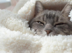  На Кубани в первый день зимы все еще возможны мокрый снег и дождь 