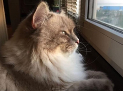 Дождь с грозой ожидается в Краснодарском крае 17 марта