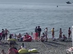 Пляжи Сочи продолжают оставаться многолюдными в ноябре 