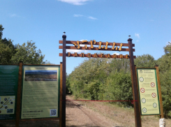 Заповедник «Утриш» на Кубани отмечает особый день