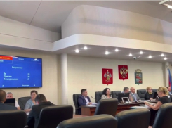 Депутат депутату рознь? Краснодарские «нападают» на мэрию, ростовские – на спикера Госдумы, а волгоградские – просто молчат