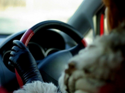 Автоледи на иномарке сбила школьницу в Краснодаре