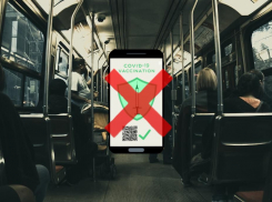 Прислушались к гражданам: QR-кодов на транспорт не будет