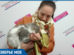 В Тихорецком районе СМИ помогли скитавшейся на улице кошке Марусе воссоединиться с семьей