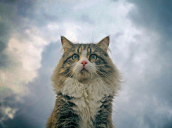 Выходные на Кубани начнутся с пасмурной погоды