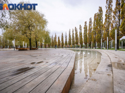 В Краснодаре 27 декабря пообещали дождь и +15 градусов тепла