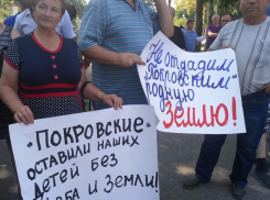  «Спасите нас от концерна «Покровский»: Кубанские фермеры вышли на пикет, не обошлось без провокаций