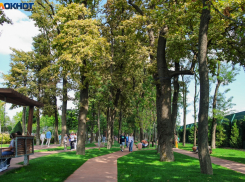 В ожидании очередного «бабьего лета» : разогреется ли Краснодар до +30 в октябре