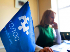 Кубанский «Голос» призывает партии к прозрачности в день выборов