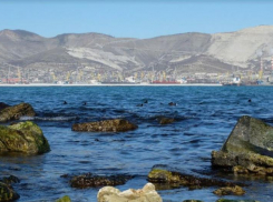 Сразу три кубанских курорта попали в ТОП направлений для отдыха летом