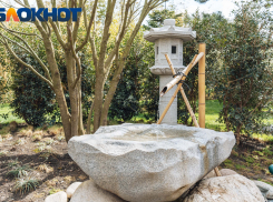 Краснодарцам запретили пить в Японском саду парка Галицкого