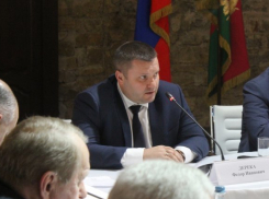  На Кубани перестанут закупать иностранные саженцы винограда 