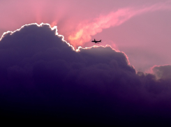 Из-за буйных пассажиров в аэропорт Краснодара вернулся самолёт 