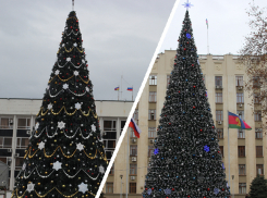 Губернатор Кондратьев и мэр Первышов померились елками в Краснодаре