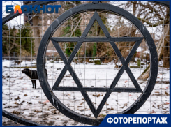 Тайны Еврейского кладбища Краснодара: от Маршака с Каплан до охраны собак и продажи домов на костях