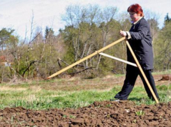 Для многодетных семей в Сочи выделят земельные участки