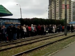  «Вот почему я опаздываю на работу», - Около сотни человек ждали трамвай в Краснодаре 