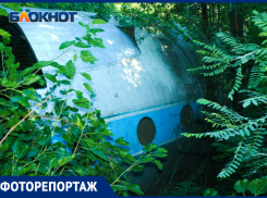 Краснодарский Lost: что скрывают обломки легендарного самолета