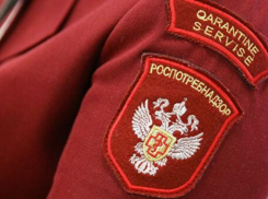 Краснодарский Роспотребнадзор проверяет случаи кишечной инфекции у школьников