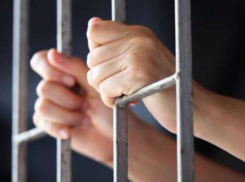 Проголодавшиеся объели торговый ларек в Краснодаре