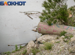 «Это экологическая катастрофа»: в Краснодаре хотят обратиться к правительству из-за загрязнения реки Кубань